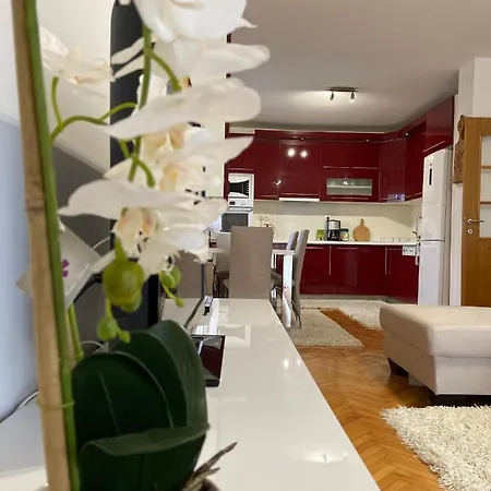 Apartment Ivano *