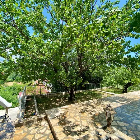 Apartman Ivano *